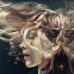 La donna del Lago ROH 2013